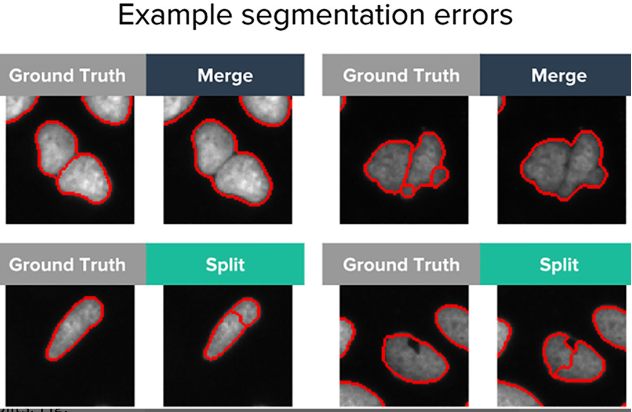 When To Say ‘Good Enough’ | Carpenter-Singh Lab
