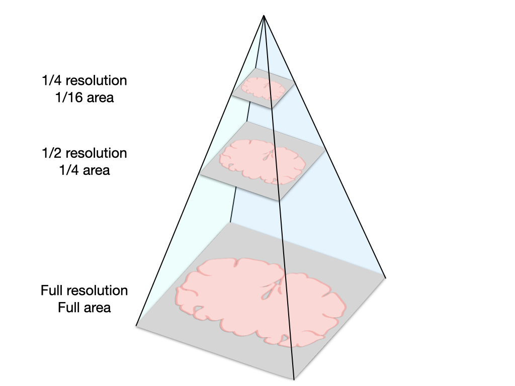 pyramidal/hierarchical image